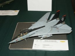 a2 f-14_d_tomcat dsc09233